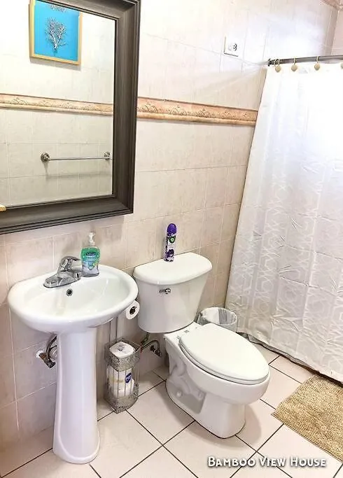 Villa Bamboo House- Rincon Porto Rico