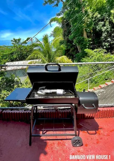 Villa Bamboo House- Rincon Casa vacanze