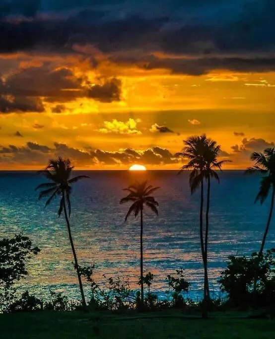 Villa Bamboo House- Rincon