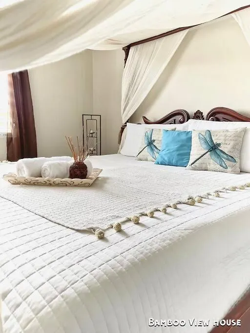 Bamboo House- Villa Rincon